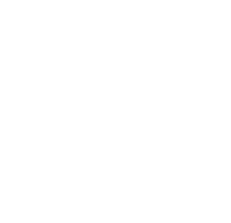 INFLUFECT